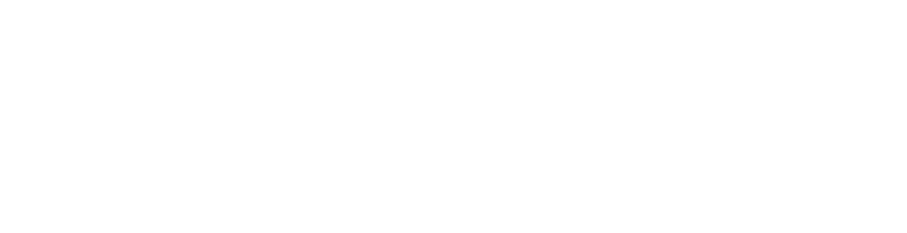 Kantonspolizei Zürich