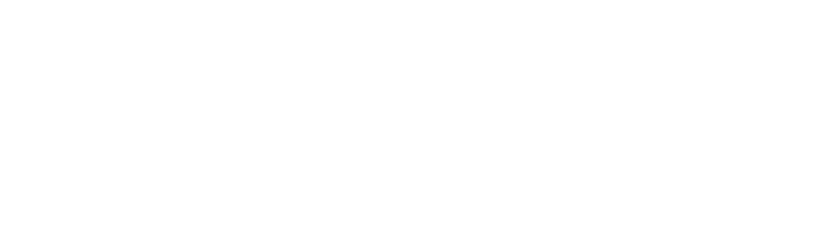 Wyss Zurich